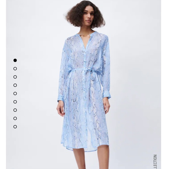 Zara Dresses & Skirts - 🌷NWT ZARA animal print shirt dress